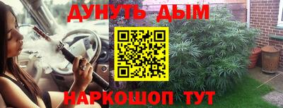 прущие крисы Гай