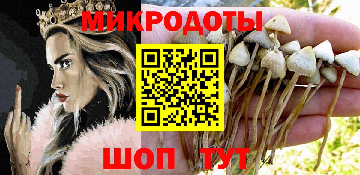 Псилоцибиновые грибы прущие грибы Елабуга