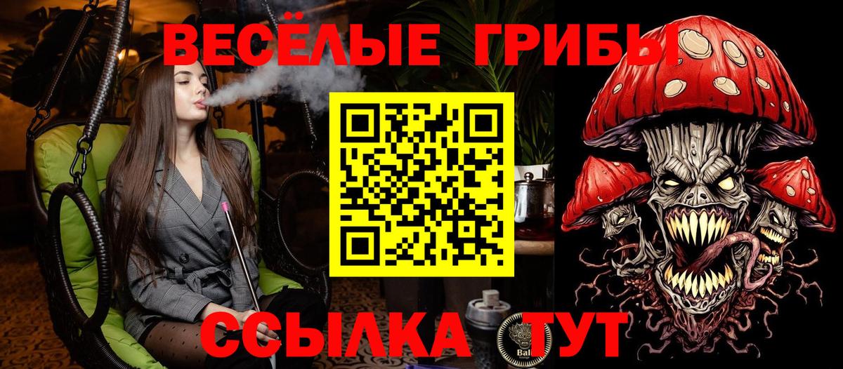 Галлюциногенные грибы прущие грибы Елабуга