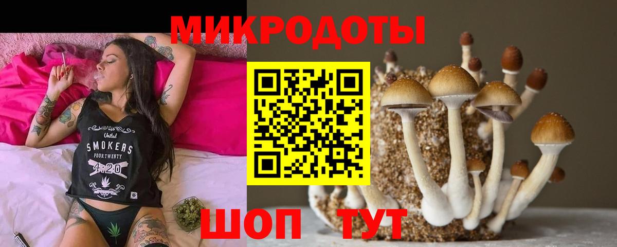 купить наркотики сайты  Галлюциногенные грибы GOLDEN TEACHER  Вход с VPN  Елабуга 